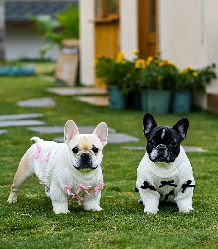 Black Bow-3D Motif Pet Sweater
