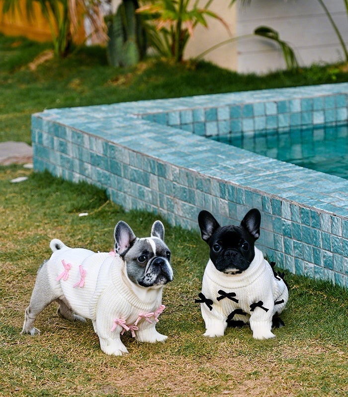 Black Bow-3D Motif Pet Sweater