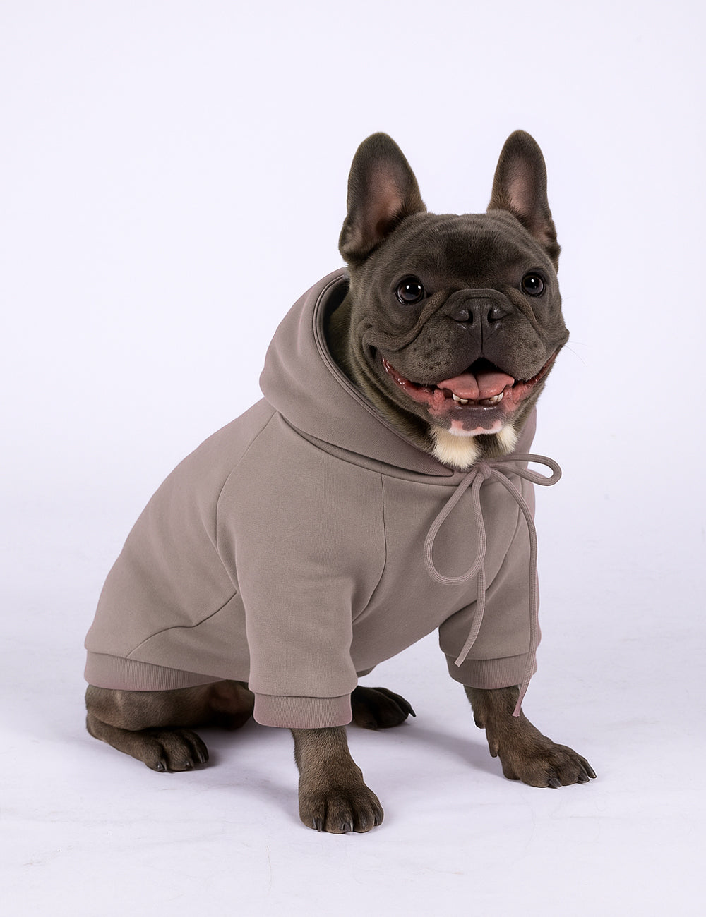 Taupe Paw Hoodie
