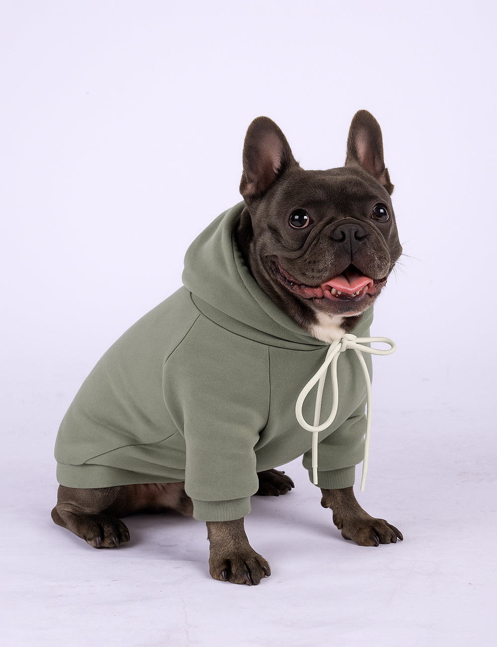 SagePup Hoodie