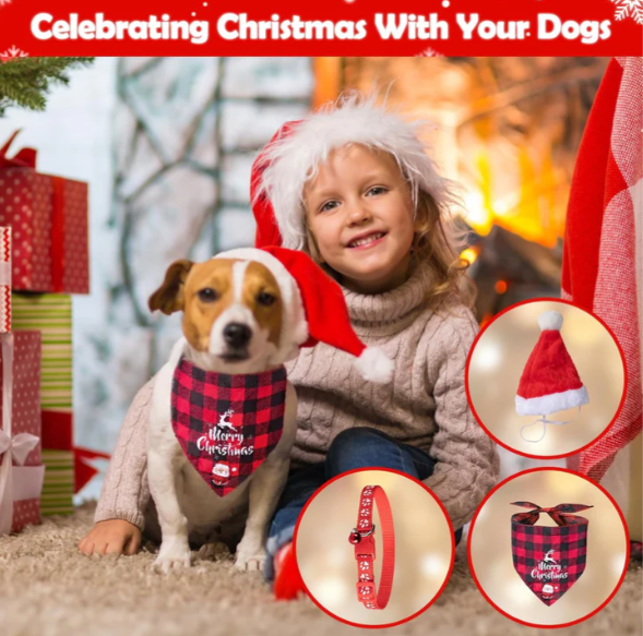 Advent Calendar 2025, Dog Advent Calendar 2025, 24 Days Dog Toy Christmas Countdown Calendar with Chew Ropes Toys Squeaky Balls Teething Toys Christmas Toy Gift for Xmas Small Large Dog Puppy Pet