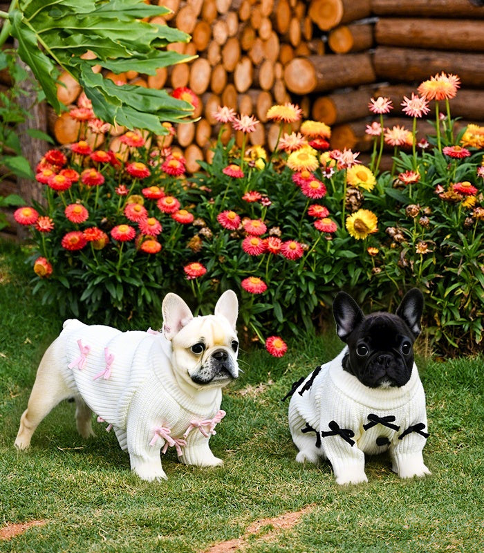 Black Bow-3D Motif Pet Sweater