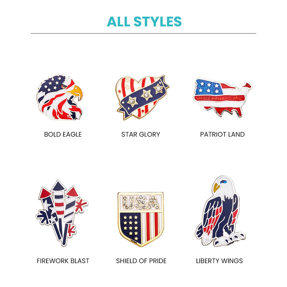 Fizz & Rizz by Yorkett Independence Day Theme Brooch Jewelry Mystery Box