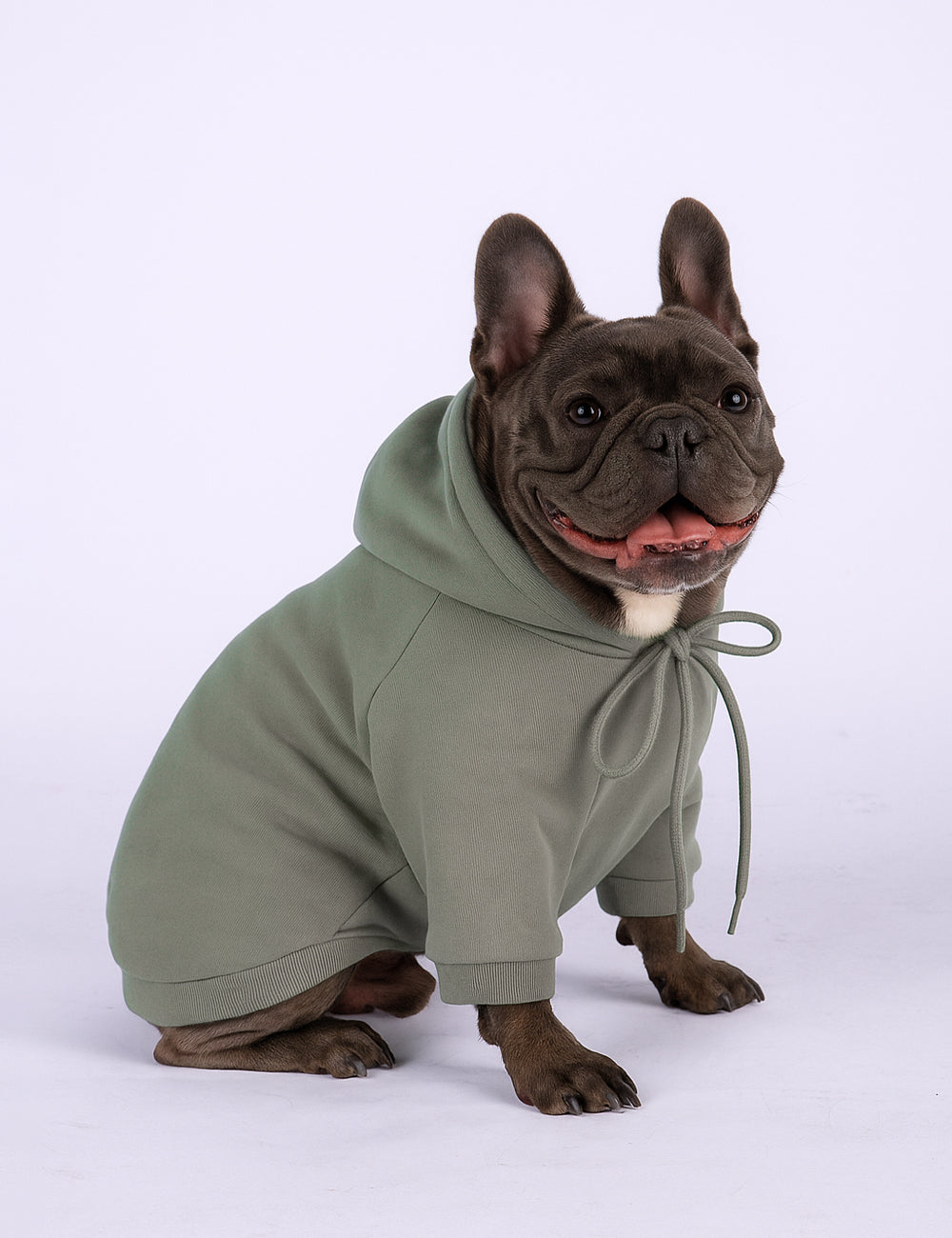 SagePup Hoodie