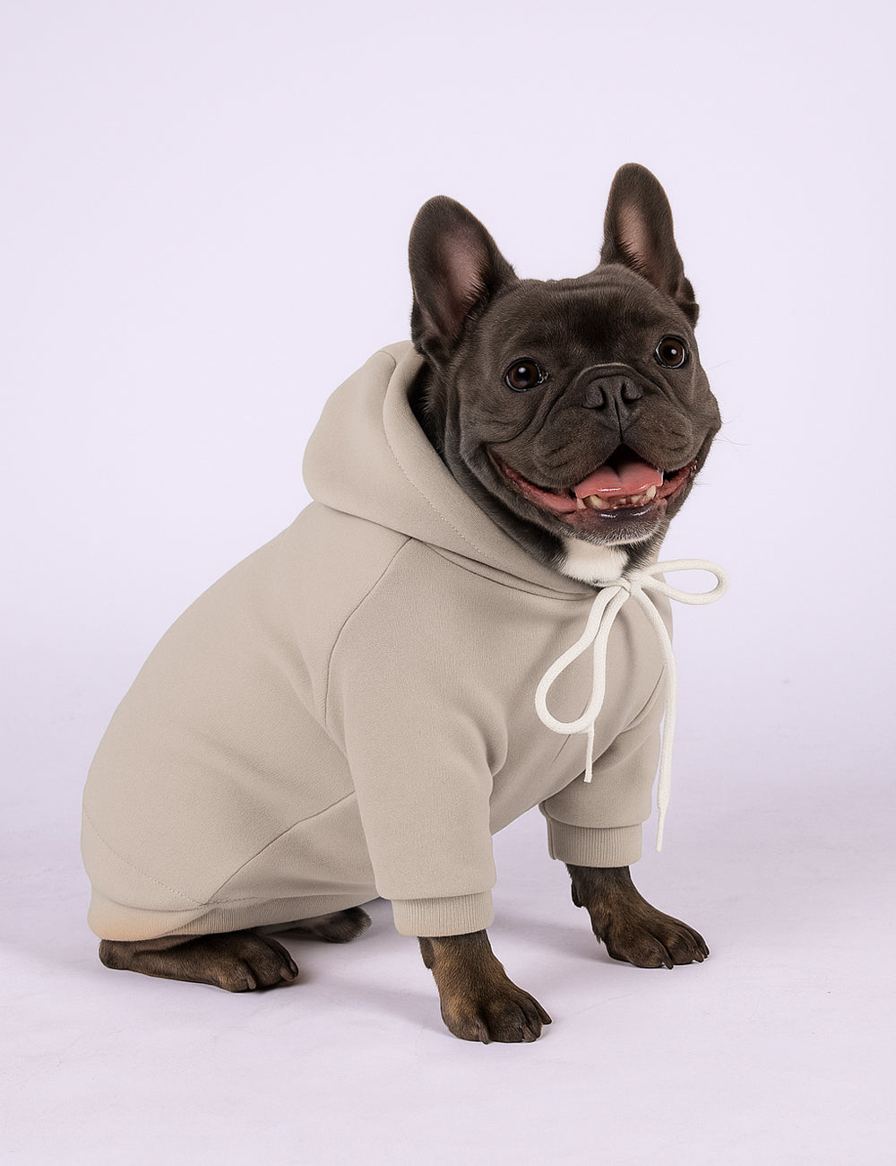 Desert Tail Hoodie