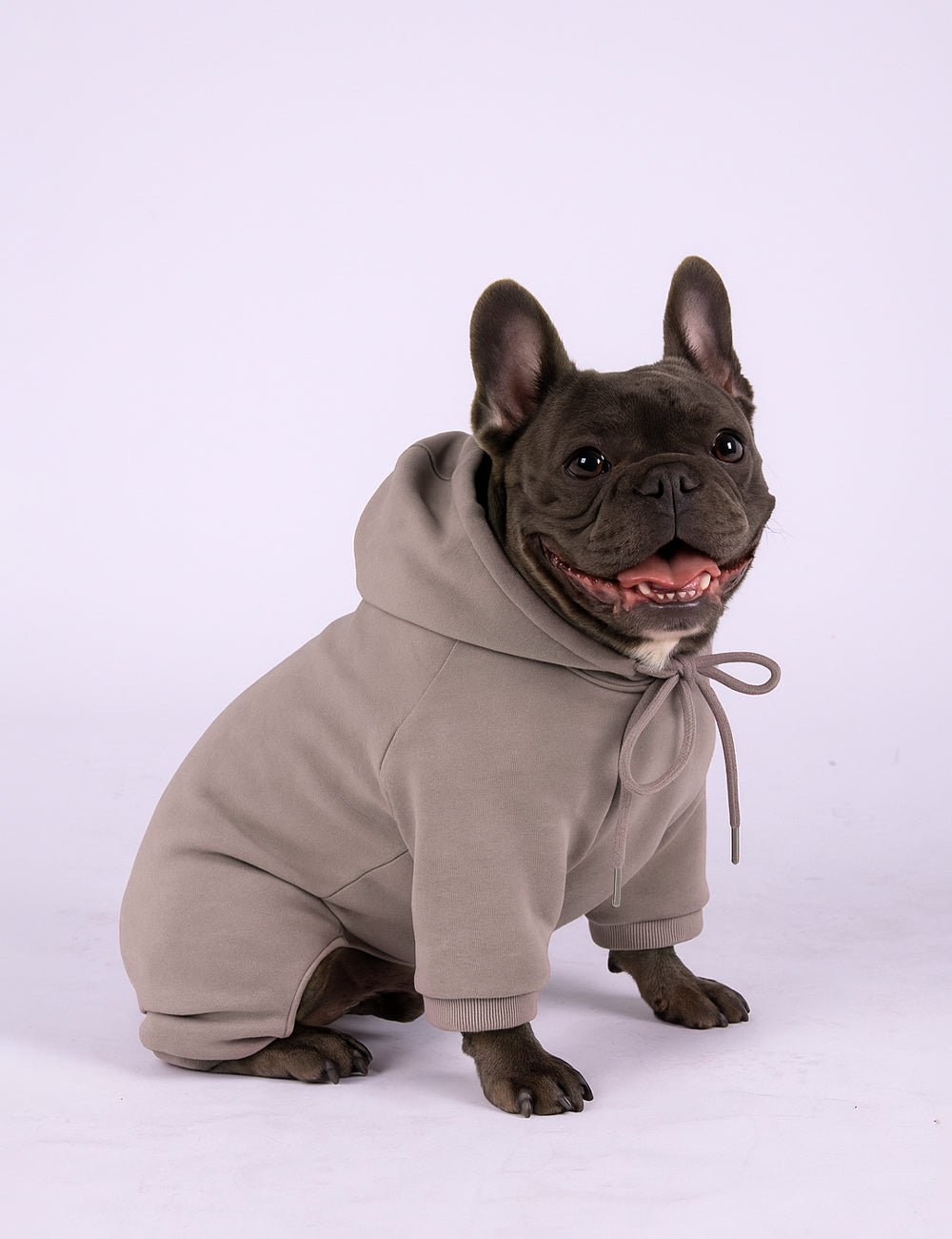 Taupe Paw Hoodie