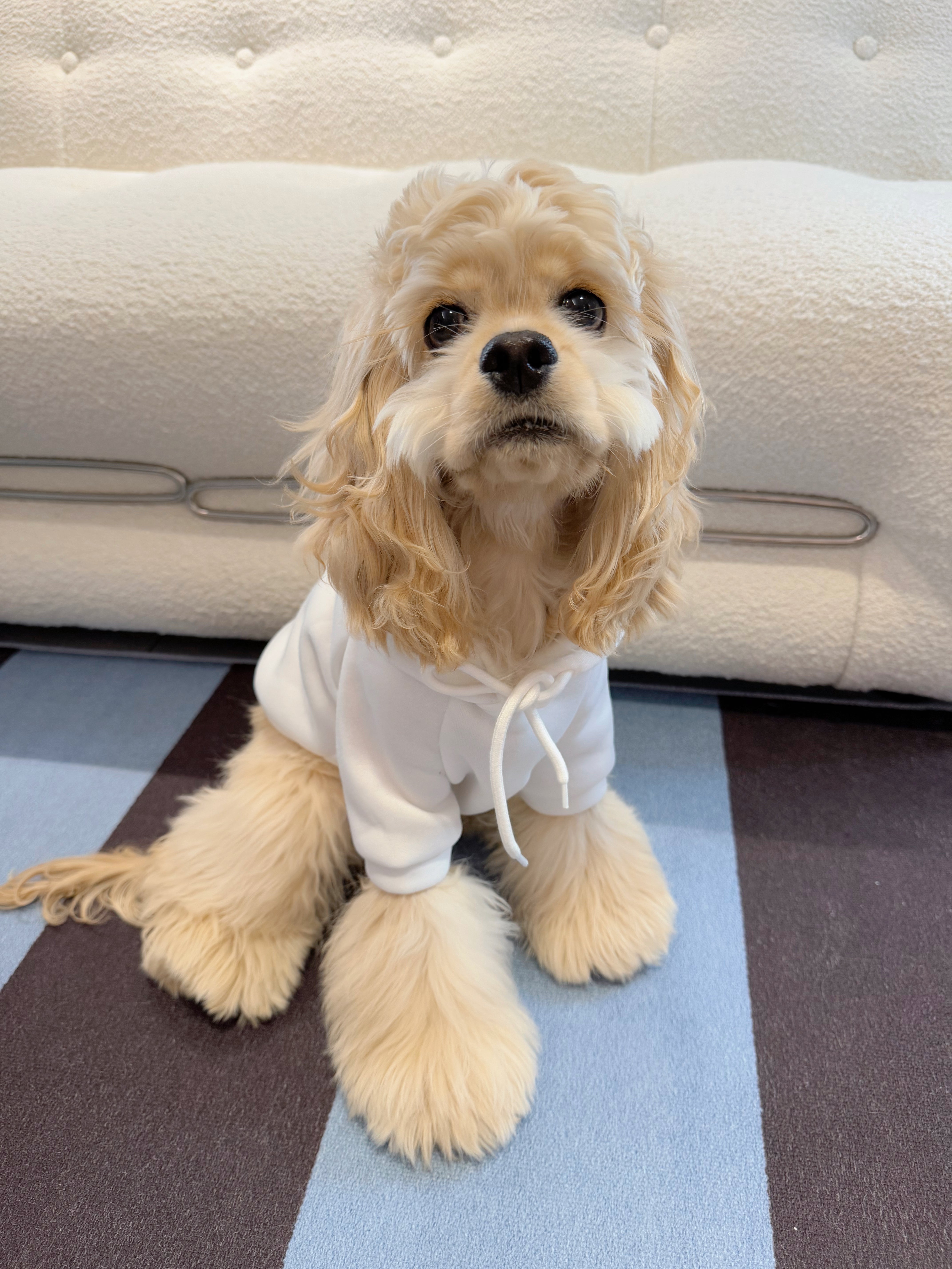 Beige Bliss Frenchie Hoodie
