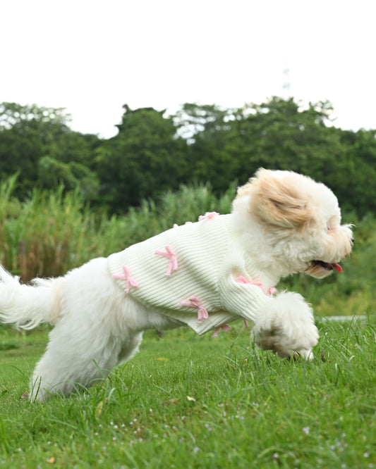 Why Every Dog Mom Needs a Matching Hoodie Set for Themselves and Their Pup