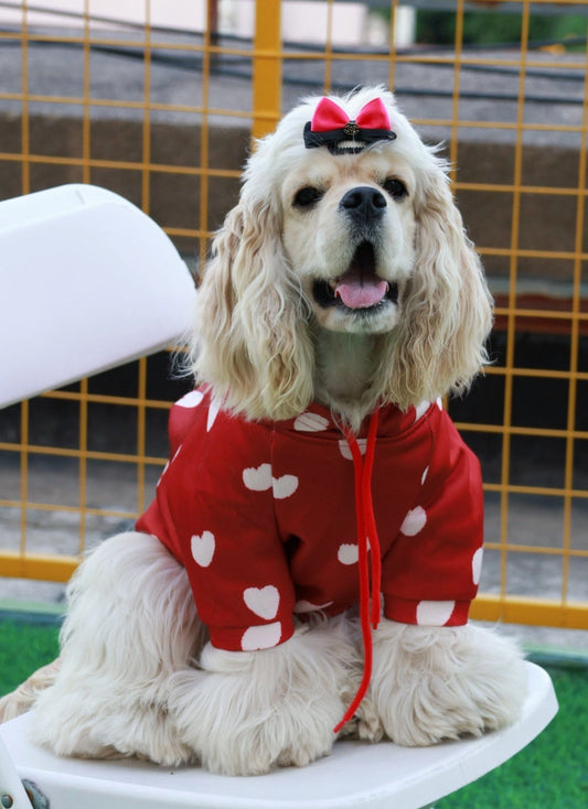 Pet Fashion 101: Why Matching Hoodies Make Your Pup Even Cuter