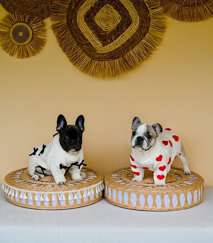 Cream Heart-3D Motif Pet Sweater