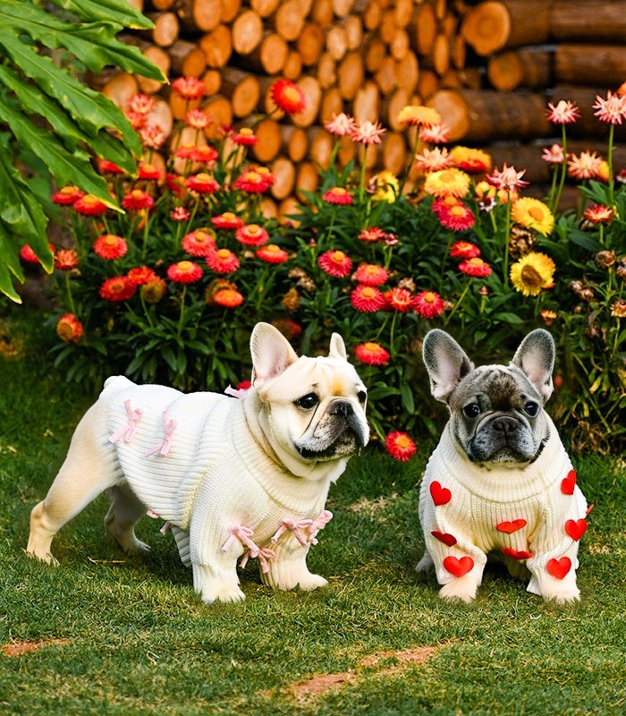 Cream Heart-3D Motif Pet Sweater