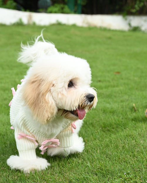 Pink Bow-3D Motif Pet Sweater