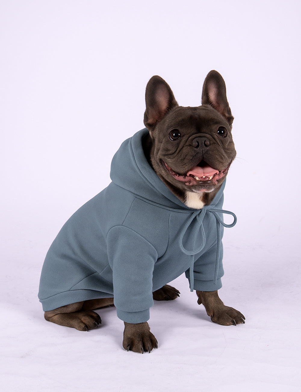 Dusty Blue Hoodie