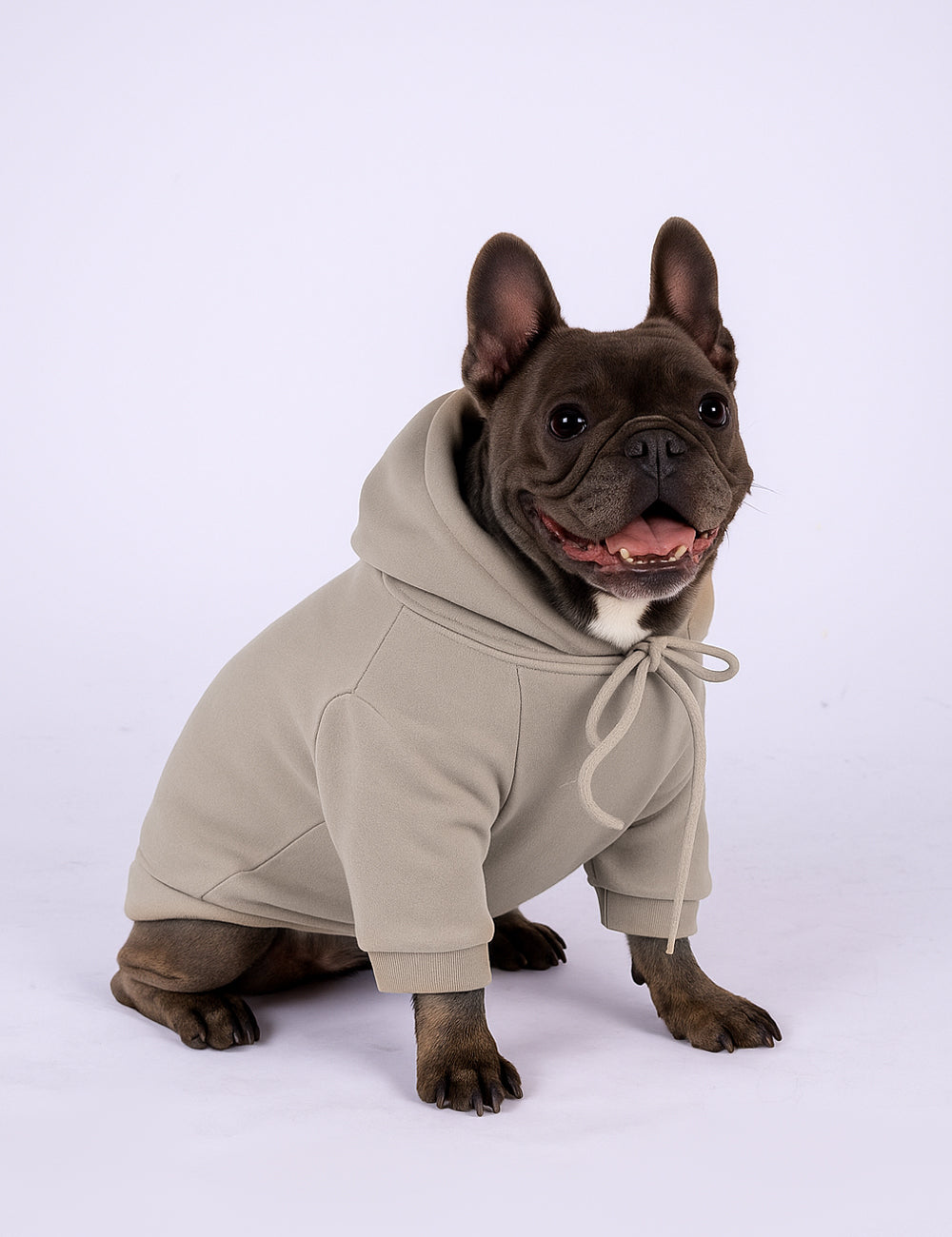 Desert Tail Hoodie