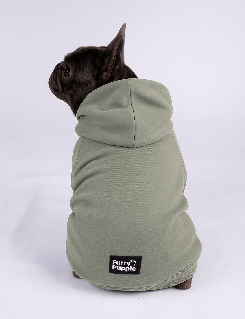 SagePup Hoodie