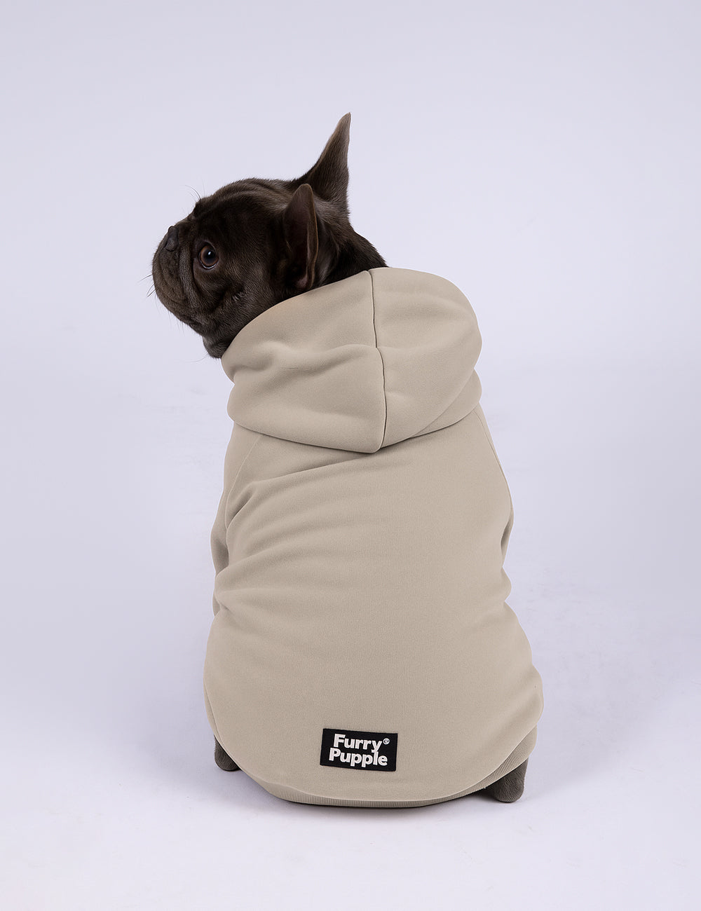 Desert Tail Hoodie