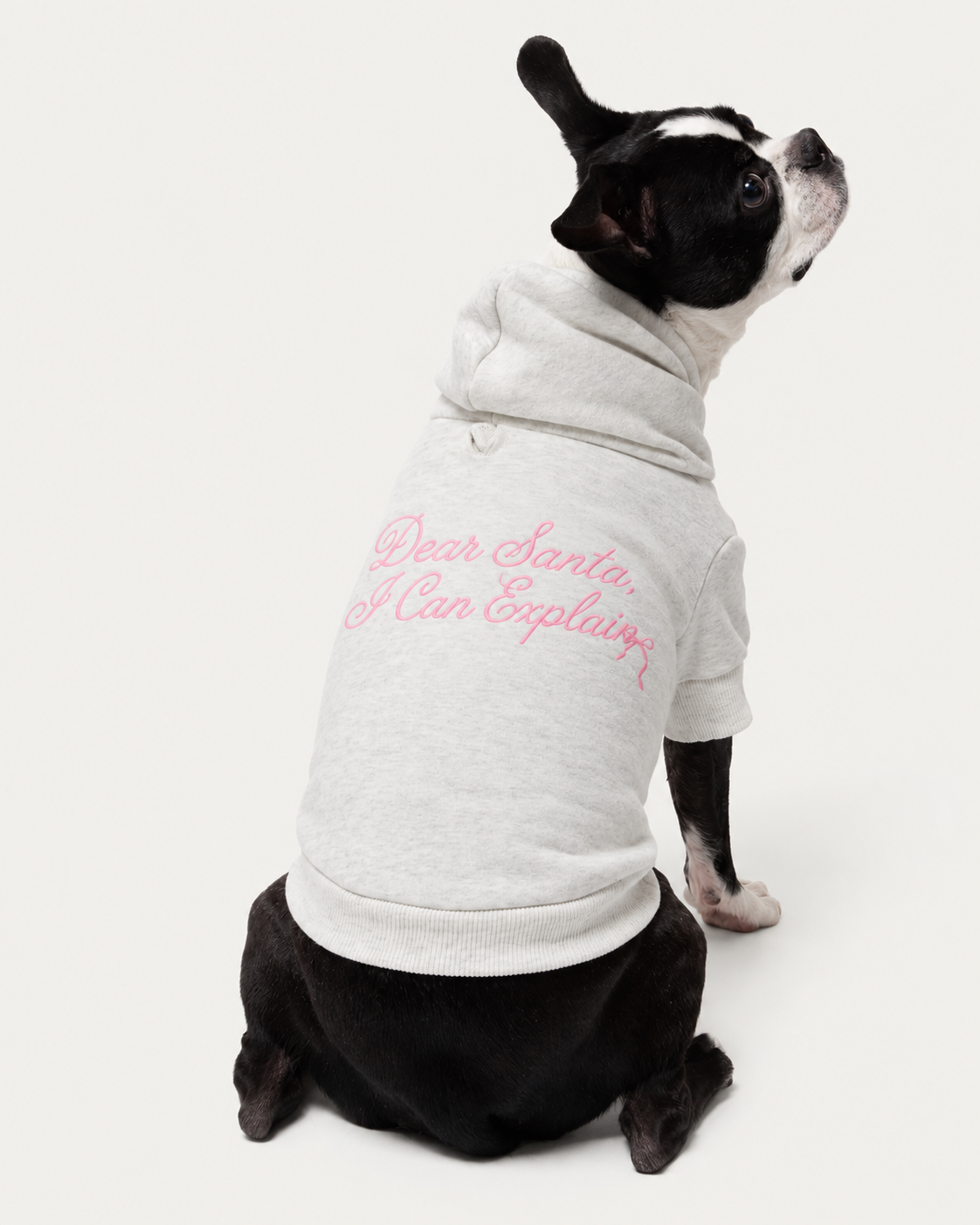 Dear Santa I Can Explain-Dog Sweatshirt