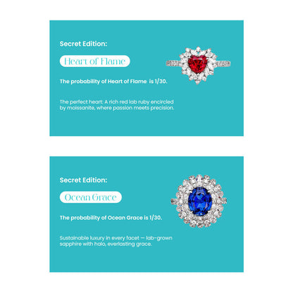 Fizz & Rizz by Yorkett Sterling Silver Sized Ring Mystery Box