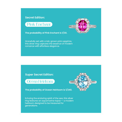 Fizz & Rizz by Yorkett Sterling Silver Sized Ring Mystery Box