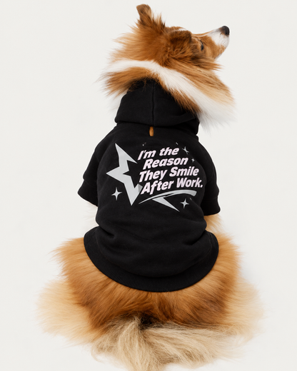 I'm the Reason They Smile After Work-Dog Hoodie