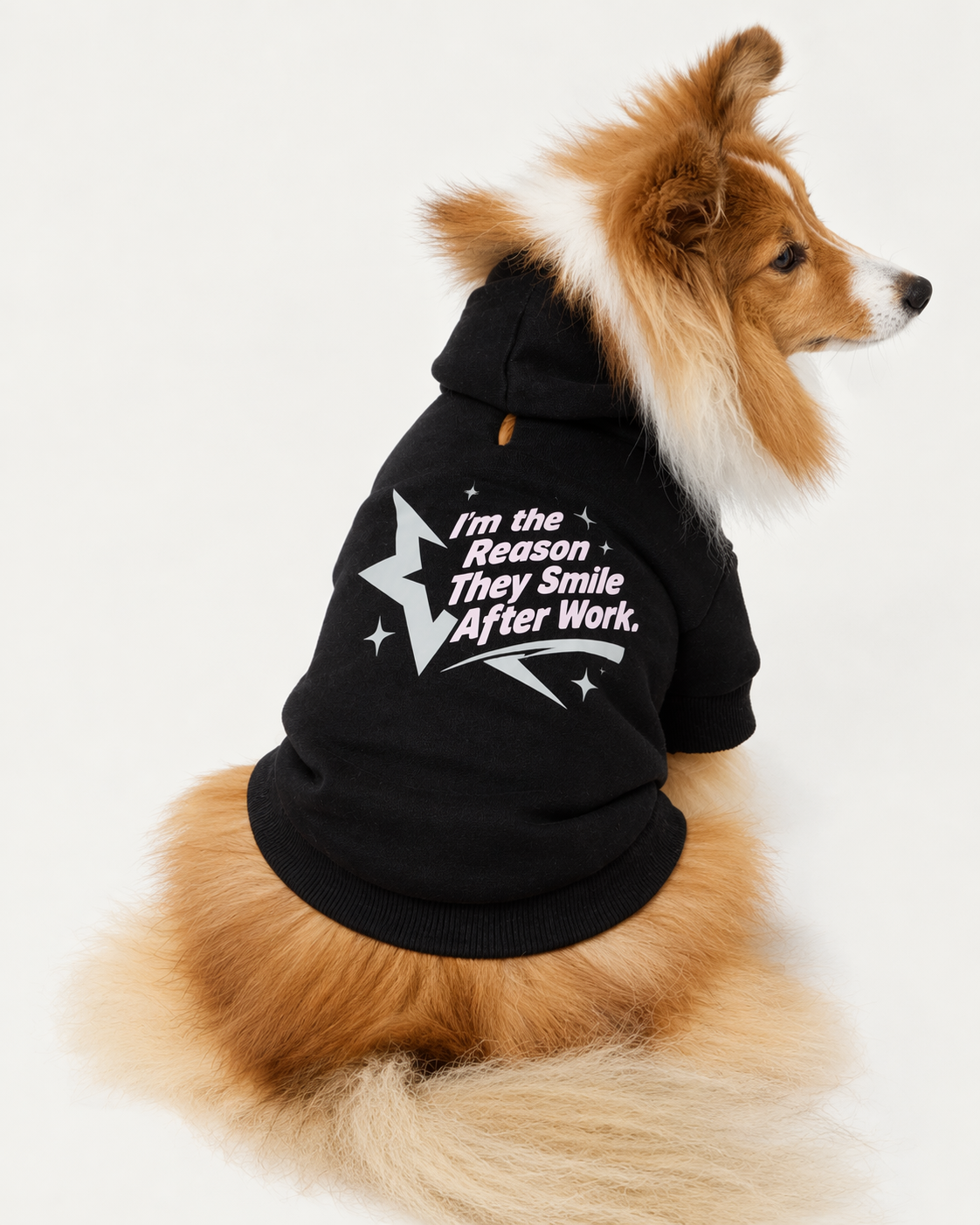 I'm the Reason They Smile After Work-Dog Hoodie