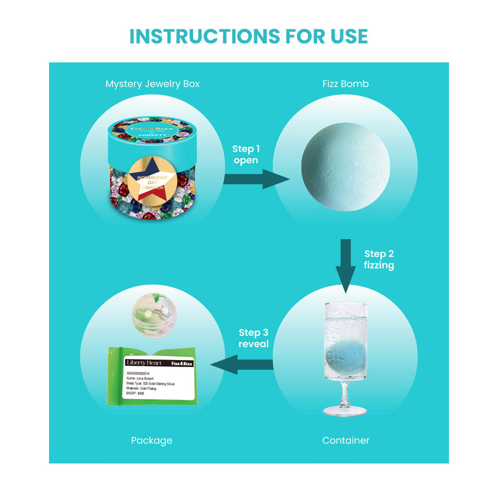 Fizz & Rizz by Yorkett Independence Day Theme Brooch Jewelry Mystery Box