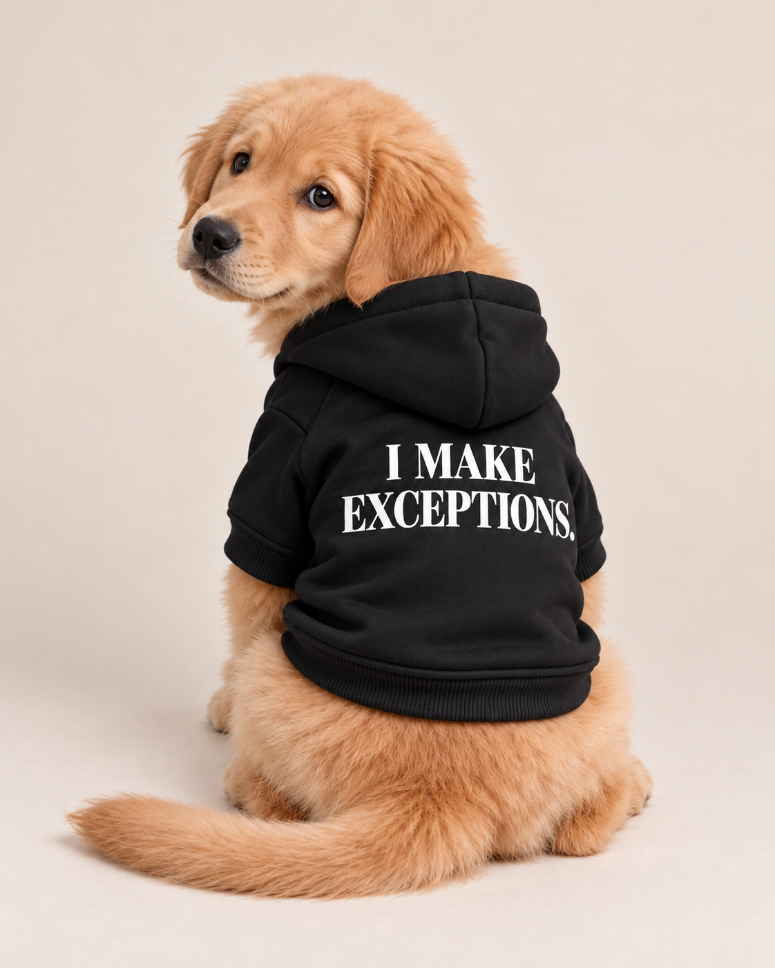 I MAKE THE RULES / I MAKE EXCEPTIONS Dog Hoodie
