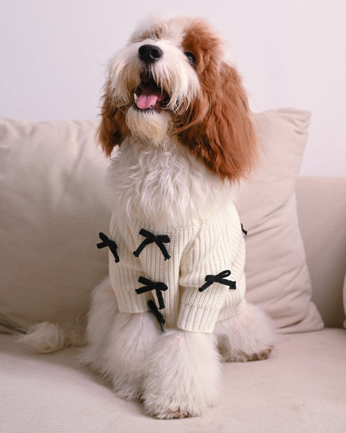 Black Bow-3D Motif Pet Sweater