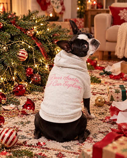 Dear Santa I Can Explain-Dog Sweatshirt