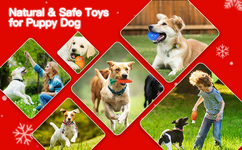 Advent Calendar 2025, Dog Advent Calendar 2025, 24 Days Dog Toy Christmas Countdown Calendar with Chew Ropes Toys Squeaky Balls Teething Toys Christmas Toy Gift for Xmas Small Large Dog Puppy Pet